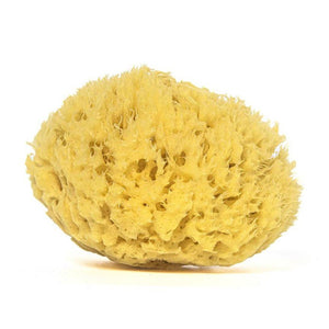 Natural Sea Sponge for Bath & Shower - Suwada1926