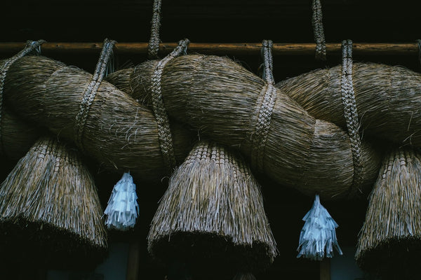 Bundled straw illustrating the raw rice-straw material traditionally charred to make warabai for late-season Japanese tea