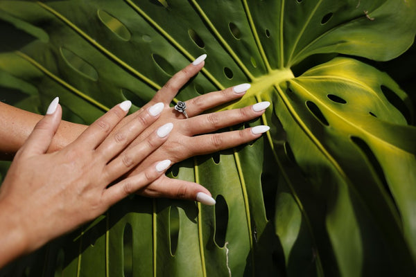 Close-up of neatly groomed hands and fingernails