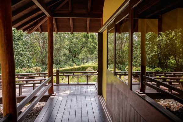 Sheltered wooden seating area opening onto trees, illustrating the simple waiting-shelter form of a tea garden