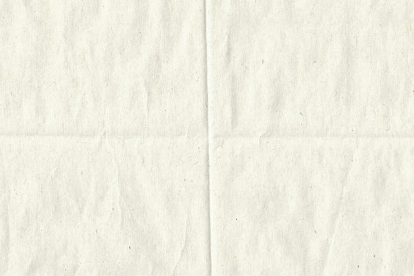 Folded white paper illustrating the compact carried-paper form of kaishi used by tea guests