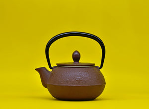 Japanese-style teapot with a top handle