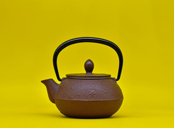Japanese-style teapot with a top handle