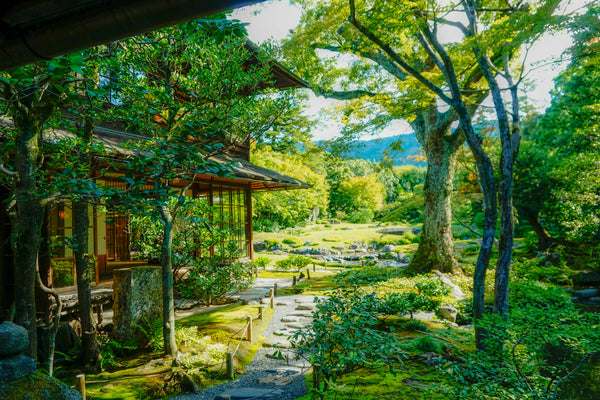 Stone path through a traditional Japanese garden illustrating the sequence of a tea-garden approach