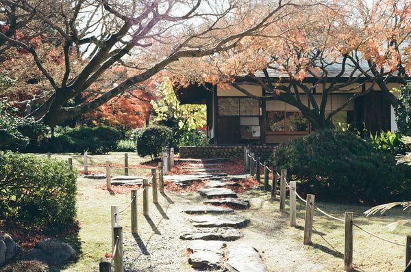 Stone path leading through a Japanese garden toward a traditional tea house