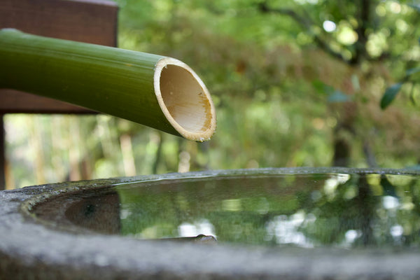 Bamboo spout dripping water into a stone basin in a Japanese-style garden