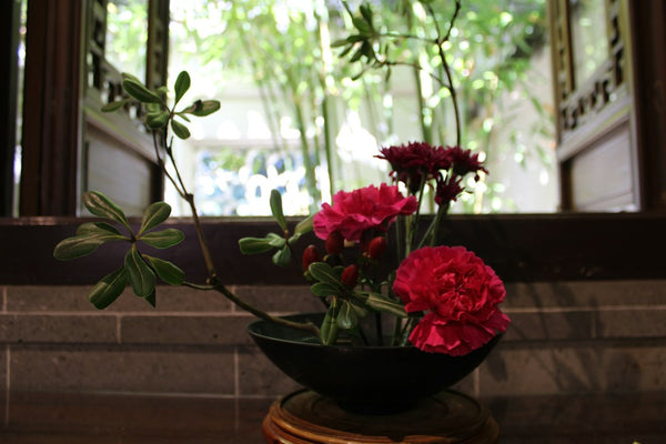 Low red flower arrangement in a dark bowl beside an open window