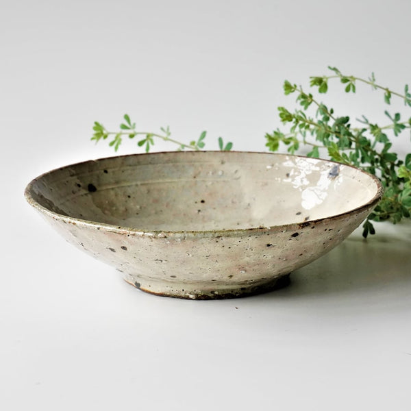 Ash Glaze Bowl 21cm