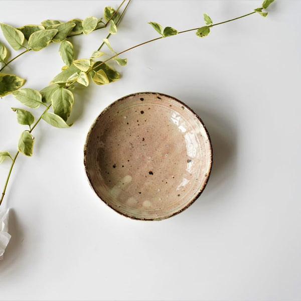 Ash Glaze Bowl 21cm