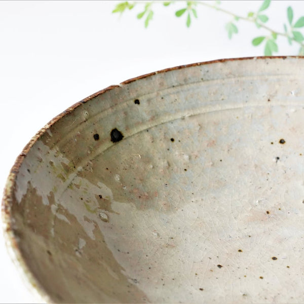 Ash Glaze Bowl 21cm