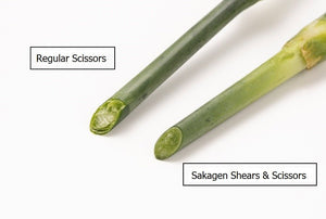 Pruning Shears - Suwada1926