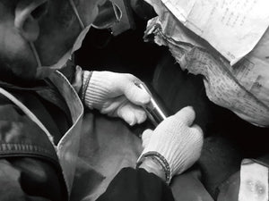 Coffee Grinder - Mirror Steel - Suwada1926