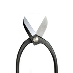 Ikenobo scissors