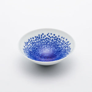 Japanese Porcelain