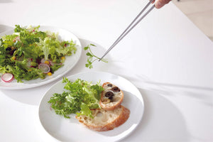 Saibashi Tongs - Suwada1926