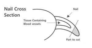 Soft Nail Nipper - Colour Range - Suwada1926